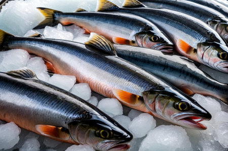 Fresh chum salmon seafood on crushed ice at fish market. Fresh frozen on store counter in market. Frozen sea fish on display counter at store. Concept of retail food backgrounds. Copy ad text spaceの素材
