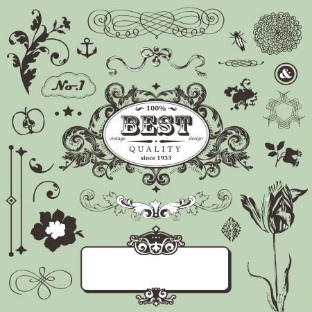 Vector set in vintage style  のイラスト素材