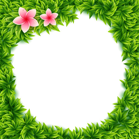 Fresh green spring leaves and tropical flowers frame with central blank white copyspace and pink frangipani flowers in square format, vector illustrationのイラスト素材