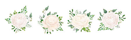 Floral bouquet design garden white creamy  Eucalyptus branch, green fern mistletoe leaves.のイラスト素材