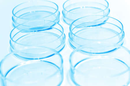 Empty Petri dishの写真素材