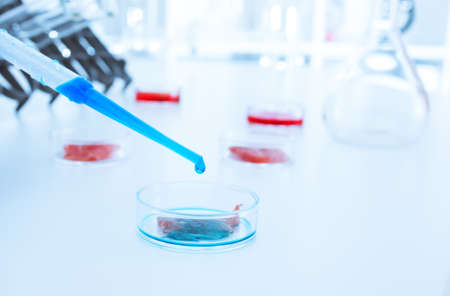 Meat cultured in laboratory conditions 
