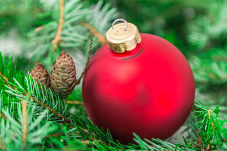 Christmas ball and  green christmas treeの写真素材