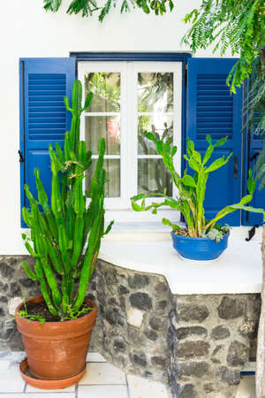 window and garden potsの写真素材