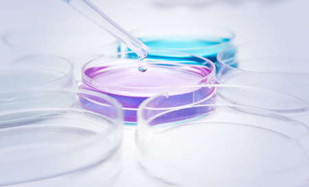 Pipette with drop of color liquid and petri dishes