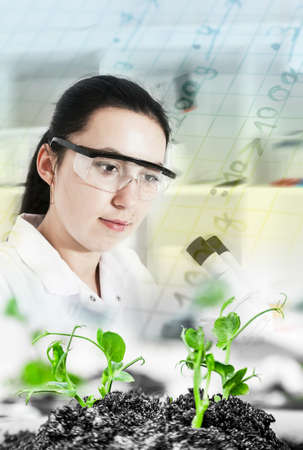 Scientist holding and examining samples with plants  Ecology laboratory の写真素材