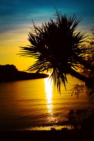 palm trees silhouette on sunset tropical beach  Tropical sunset