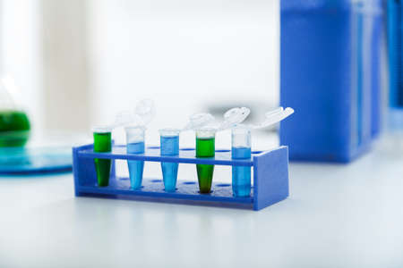 Micro tubes with biological samples in laboratory for DNA analysisの写真素材