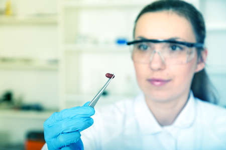 woman laboratory assistant in the laboratory of food quality.color toned image