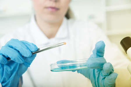 woman laboratory assistant in the laboratory of food quality