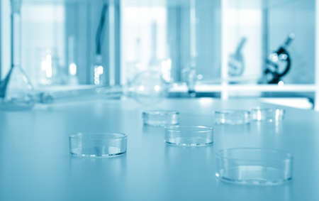 petri dish in laboratory.Toning image