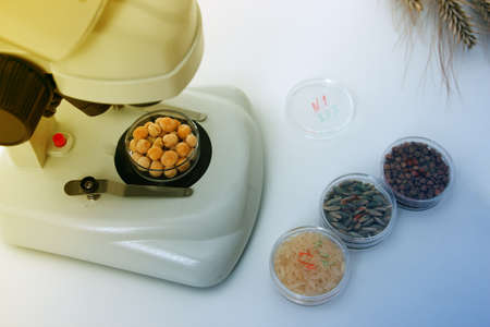 Chemical Laboratory of the Food supply . Food in laboratory, dna modify .Toning image
