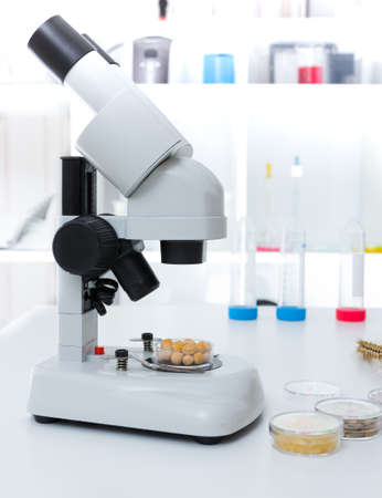 Chemical Laboratory of the Food supply . Food in laboratory, dna modify .Toning image