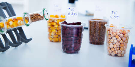 female researcher with glass equipment in the lab.Toning imageの写真素材