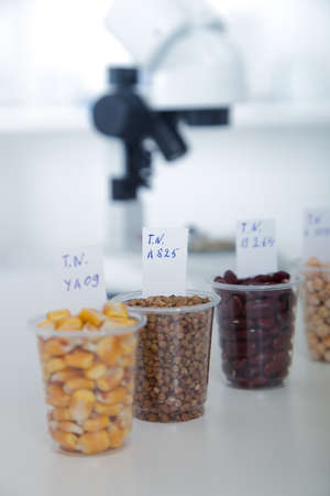 Chemical Laboratory of the Food supply . Food in laboratory, dna modify .Toning imageの写真素材