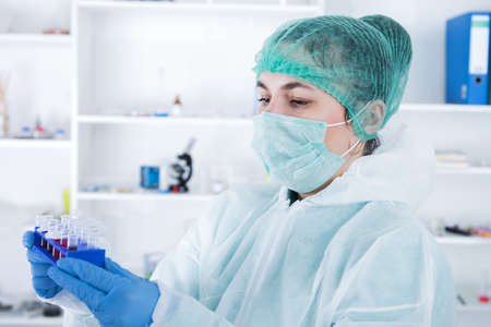 Laboratory assistant in the laboratory of of food quality.Cell culture assay to test genetically...