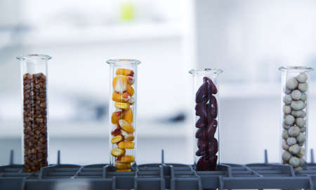 Chemical Laboratory of the Food supply . Food in laboratory, dna modify .Toning imageの写真素材