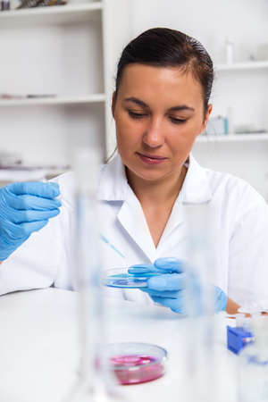 Young Female Scientist Analyzing Sample In Laboratory.laboratory assistant analyzing a sample