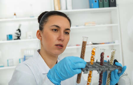 Laboratory assistant in the laboratory of of food quality.Cell culture assay to test genetically modified seed.Toning imageの写真素材