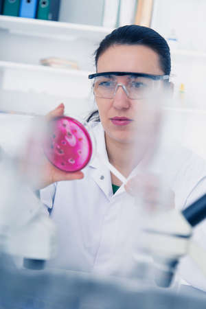 Scientist examining solution in petri dish at a laboratoryの写真素材
