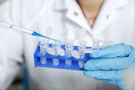 Laboratory assistant in the of food quality.Cell culture assay to test genetically modified seedの写真素材