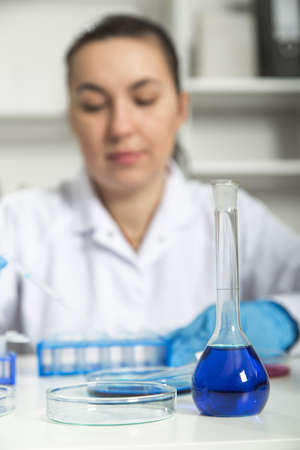 Laboratory assistant in the of food quality.Cell culture assay to test genetically modified seedの写真素材