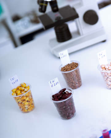 Chemical Laboratory of the Food supply . Food in laboratory, dna modify .の写真素材