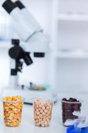 Chemical Laboratory of the Food supply . Food in laboratory, dna modifyの写真素材