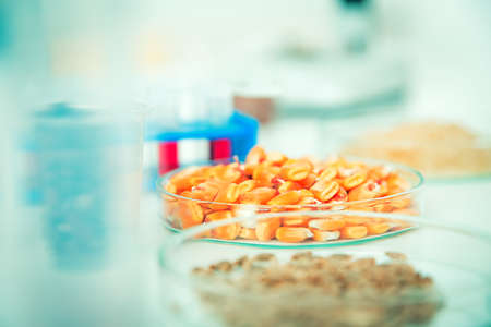Chemical Laboratory of the Food supply . Food in laboratory, dna modifyの写真素材