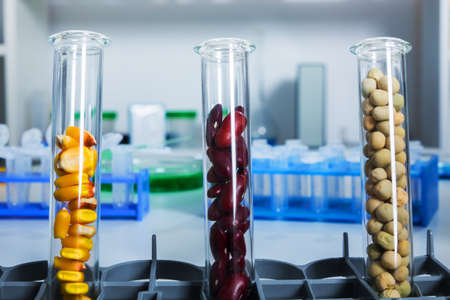 Chemical Laboratory of the Food supply . Food in laboratory, dna modifyの写真素材