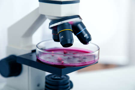 Chemical Laboratory of the Food supply . Food in laboratory, dna modify