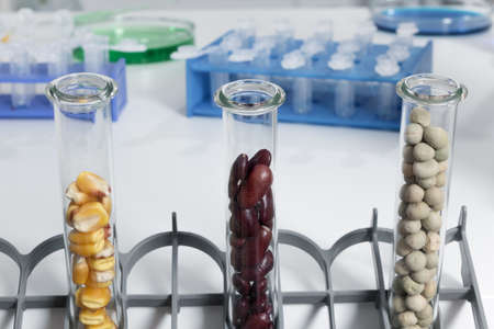 Chemical Laboratory of the Food supply . Food in laboratory, dna modify .の写真素材