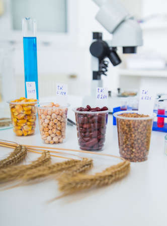 Chemical Laboratory of the Food supply . Food in laboratory, dna modify .の写真素材