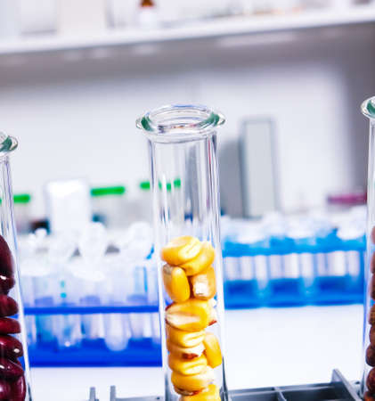 Chemical Laboratory of the Food supply . Food in laboratory, dna modify