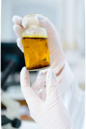 laboratory of food quality testsの写真素材