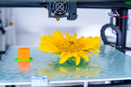 Modern 3D printing. 3d printer mechanism working yelement design of the device during the processes..の写真素材