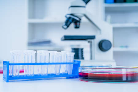 Chemical Laboratory of the Food supply . Food in laboratory, dna modify ..の写真素材