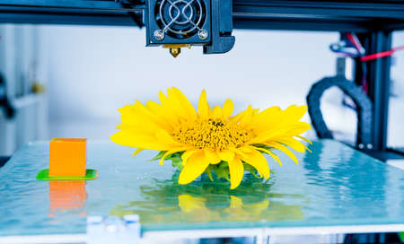 3d printer mechanism working yelement design of the device during the processes.