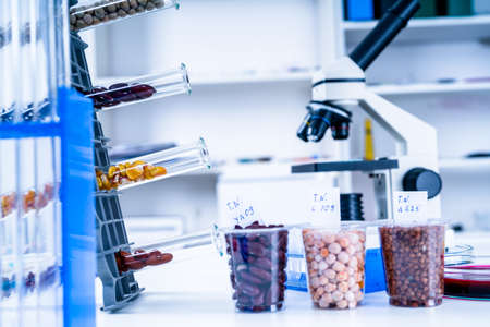 Chemical Laboratory of the Food supply . Food in laboratory, dna modify .GMO Genetically modified food in lab .の写真素材