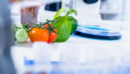 Modern 3D printing. 3d printer mechanism working yelement design of the device during the processes..の写真素材