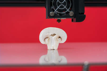 Mushrooms(champignon) in a 3D printer .Organic 3D printing