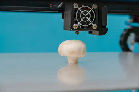 Mushrooms(champignon) in a 3D printer .Organic 3D printingの写真素材