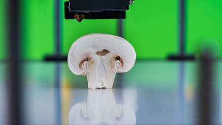 Mushrooms(champignon) in a 3D printer .Organic 3D printing