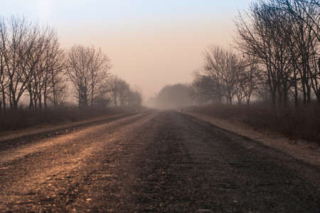 Road in fog early in the morning