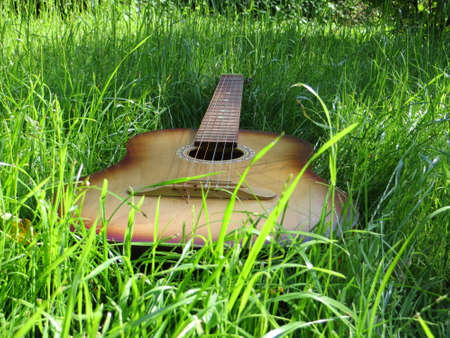 Music in nature.の写真素材