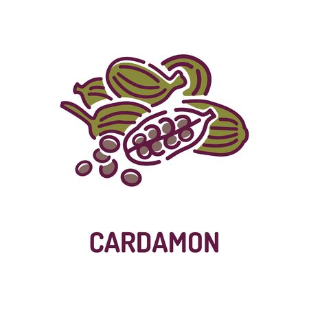 Cardamon seeds color line icon. Spices product. Cooking ingredient. Pictogram for web page, mobile app, promo. UI UX GUI design element.のイラスト素材