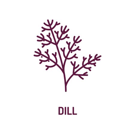 Dill color line icon. Greenery sign. Natural vegetable symbol. Healthy, organic food concept. Cooking ingredient. UI UX GUI design element. Editable stroke.のイラスト素材