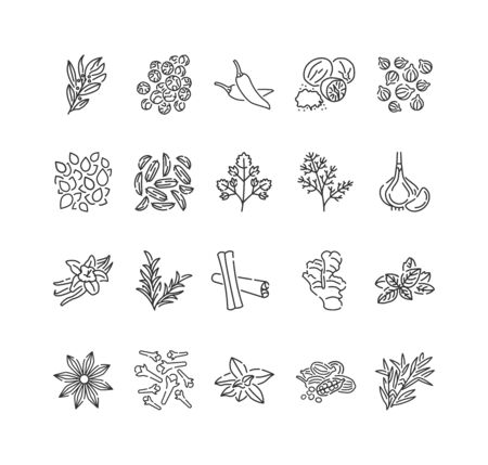 Spices and herbs black line icons set. Seasonings: ground pepper, fennel, cinnamon, cloves, ginger, Cooking ingredient.のイラスト素材