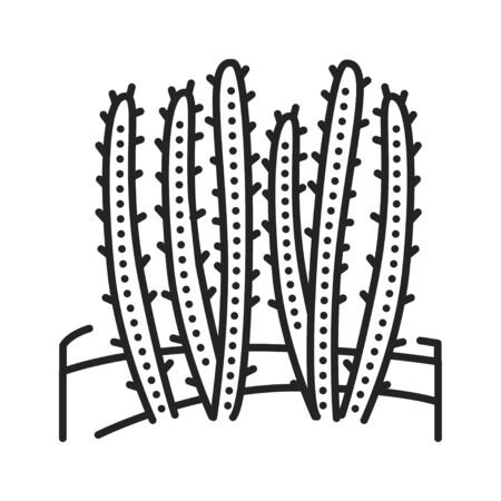 Cactus desert black line icon. Type of cacti. Grow in extremely dry environments. Pictogram for web page, mobile app, promo. UI UX GUI design element. Editable stroke.の写真素材