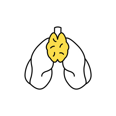Human organs lungs and thyroid gland color line icon. Pictogram for web page, mobile app, promo. UI UX GUI design element. Editable stroke.のイラスト素材